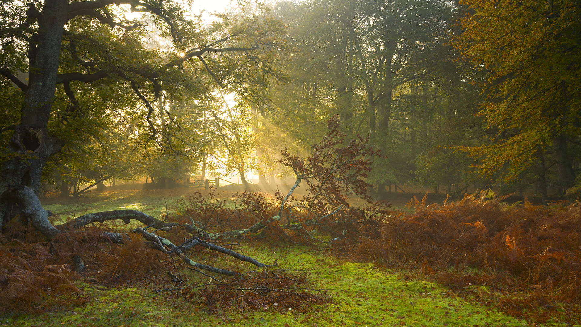 _经典对决：两个时代巨星的巅峰较量_，经典对决游戏