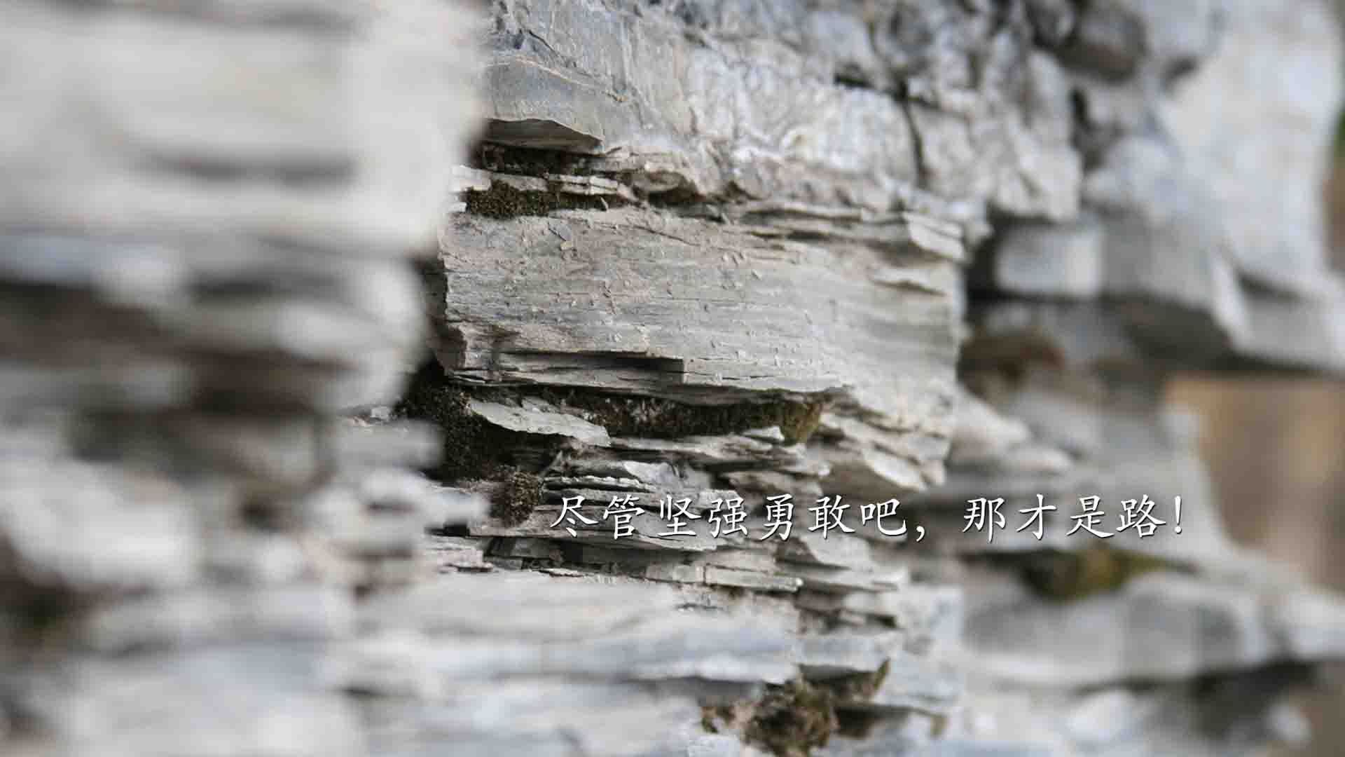 开云体育-【全景直播】利用VR技术体验入场感受，vr实景体验