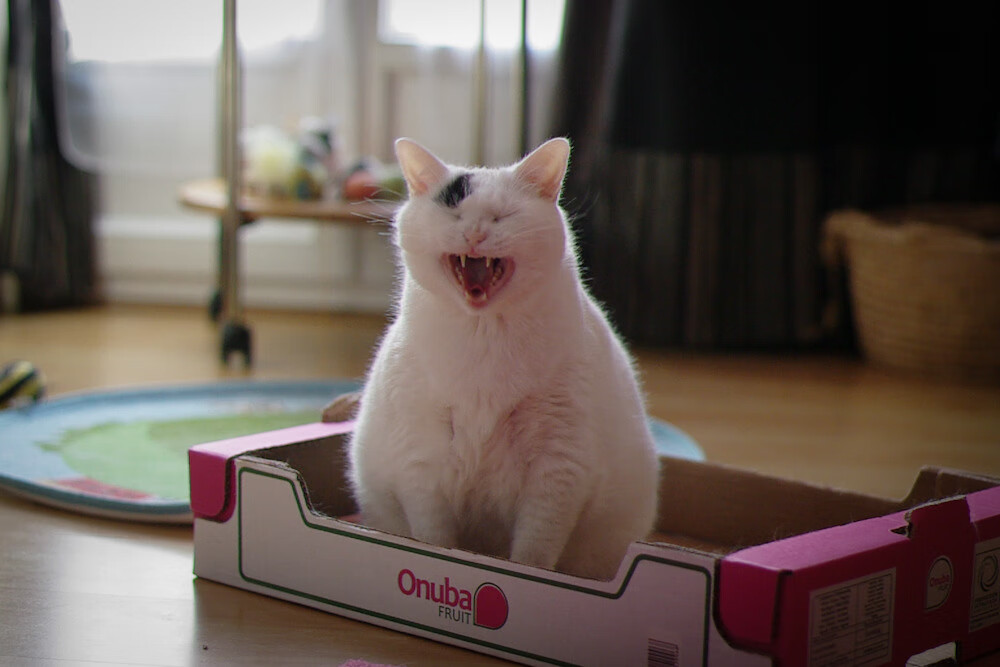 开云体育登录网站入口-【现场实测】裁判用电子判罚系统争议解析，哪些项目适合电子裁判